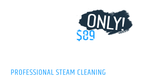 $69 Only Loveseat Steam Cleaning